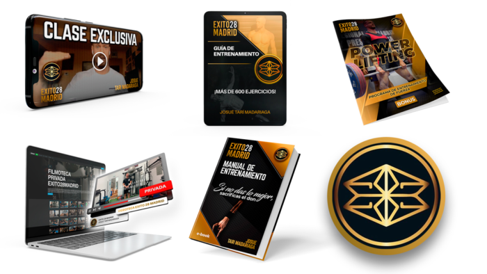 intros training exercise